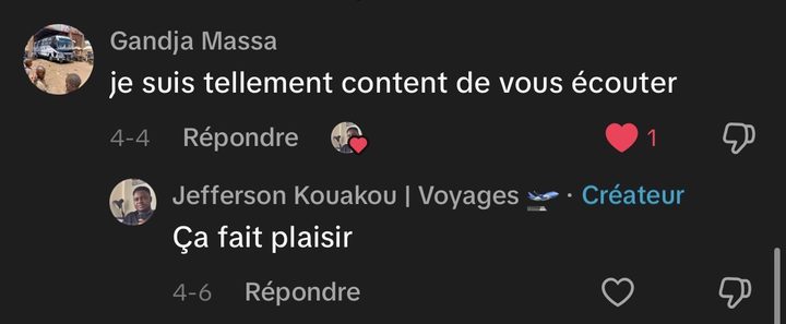 Avis de la communauté TikTok